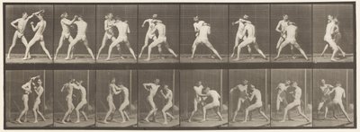 Placa 342. Boxeo; mano abierta, 1872-1885 de Eadweard Muybridge
