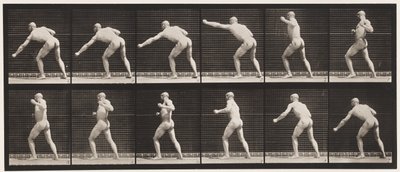 Placa 343. Dando un golpe (mano izquierda) de Eadweard Muybridge
