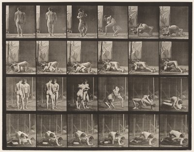 Placa 346. Lucha, llave de Eadweard Muybridge