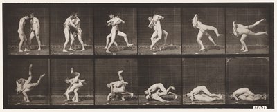Placa 347. Lucha, Grecorromana, 1885 de Eadweard Muybridge