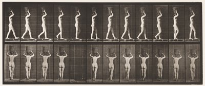 Placa 34. Caminando de Eadweard Muybridge