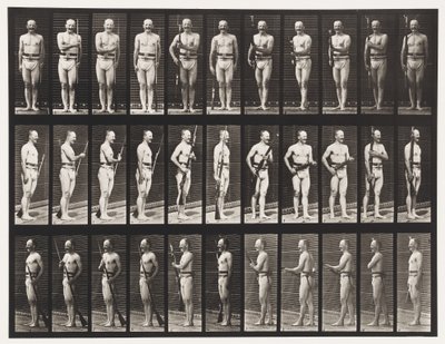 Placa 351. Fijar y desarmar bayonetas, 1872-1885 de Eadweard Muybridge
