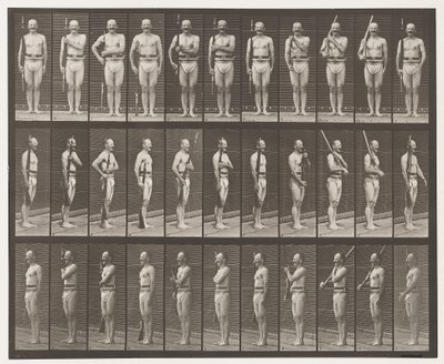 Placa 352. Hombro, orden y llevar armas de Eadweard Muybridge