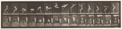 Placa 362. Salto mortal hacia atrás de Eadweard Muybridge