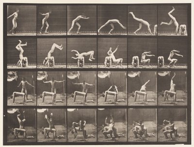 Placa 364. Voltereta sobre la Espalda de un Hombre de Eadweard Muybridge