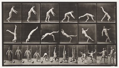 Placa 365. Salto de Cabeza, Una Paloma Voladora Interfiriendo de Eadweard Muybridge