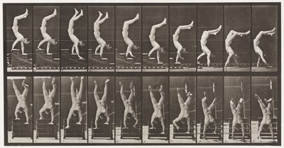 Placa 368. Acróbata, bajando escaleras con las manos de Eadweard Muybridge