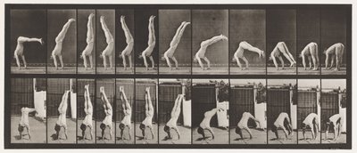 Placa 371. Acróbata, presión vertical de Eadweard Muybridge