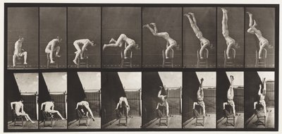 Placa 373. Acróbata, Prensa Desde la Silla de Eadweard Muybridge
