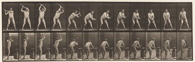 Placa 376. Herrero, martillando en el yunque, dos manos, 1872-1885 de Eadweard Muybridge