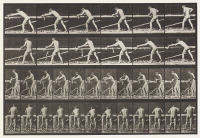 Placa 379. Carpintero, cepillando una tabla, 1872-1885 de Eadweard Muybridge