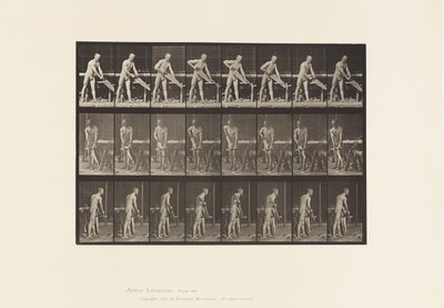 Placa 380. Carpintero, serrando, 1872-1885 de Eadweard Muybridge