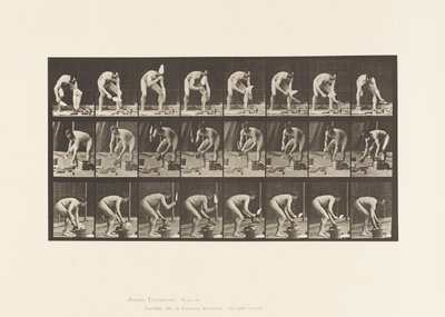 Placa 381. Albañil, colocando un ladrillo de Eadweard Muybridge