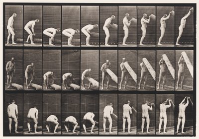 Placa 382. Levantando un tronco en vertical de Eadweard Muybridge