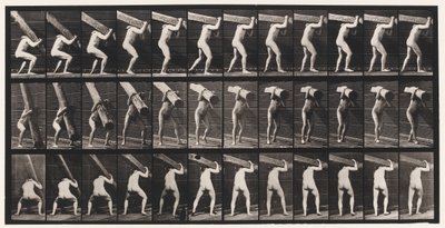 Placa 383. Levantando un Tronco en el Hombro de Eadweard Muybridge