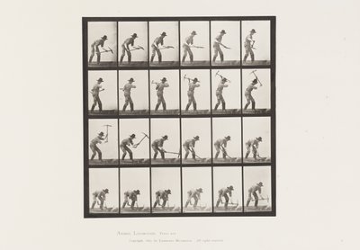 Placa 386. Minero Usando un Pico de Eadweard Muybridge
