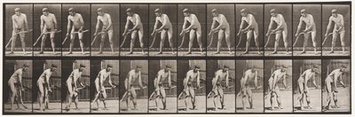 Placa 391. Granjero, Cortando Césped de Eadweard Muybridge