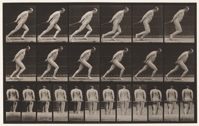Placa 392. Arrastrando un rodillo de jardín de Eadweard Muybridge