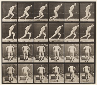Placa 393. Empujando un rodillo de jardín, 1872-1885 de Eadweard Muybridge