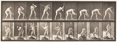 Placa 396. Golpeando con un Mazo de Eadweard Muybridge