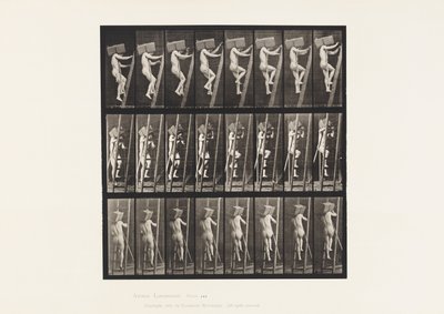 Placa 405. Llevando una mano de ladrillos por una escalera de Eadweard Muybridge