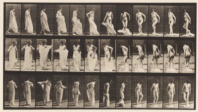 Placa 431. Aseo; quitándose la ropa de Eadweard Muybridge
