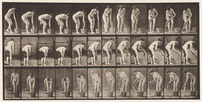 Placa 433. Retorciendo la ropa de Eadweard Muybridge