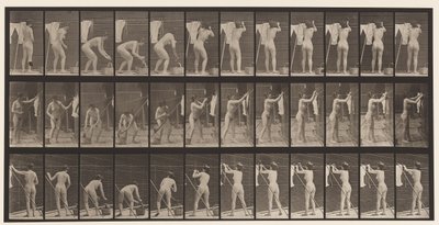 Placa 434. Colgando ropa en la línea, 1872-1885 de Eadweard Muybridge