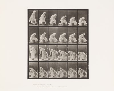 Placa 438. Dejando el Cubo y Preparándose para Fregar, 1885 de Eadweard Muybridge