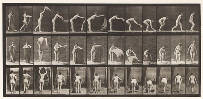 Placa 439. Extendiendo una alfombra en el suelo, 1872-1885 de Eadweard Muybridge