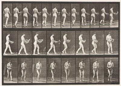 Placa 43. Caminando, rociando agua de un cuenco, girando de Eadweard Muybridge