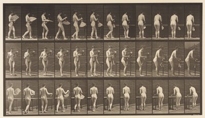 Placa 441. Llevando jarrón y colocándolo en la mesa, 1872-1885 de Eadweard Muybridge