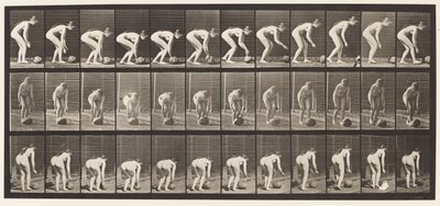 Placa 442. Agachándose y Rodando una Piedra en el Suelo de Eadweard Muybridge