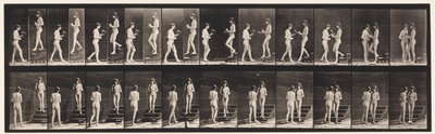 Placa 448. Dos modelos de Eadweard Muybridge