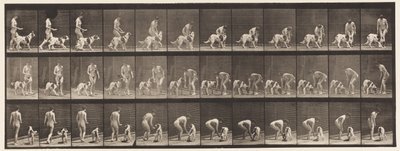 Placa 449. Alimentando a un perro de Eadweard Muybridge