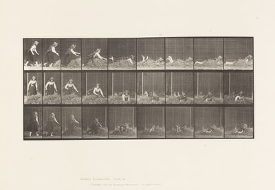Placa 455. Tirándose sobre un montón de heno de Eadweard Muybridge