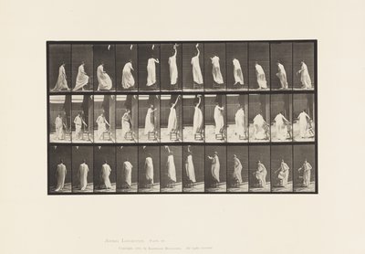 Placa 459. Subiendo a la silla, alcanzando y descendiendo, 1885 de Eadweard Muybridge