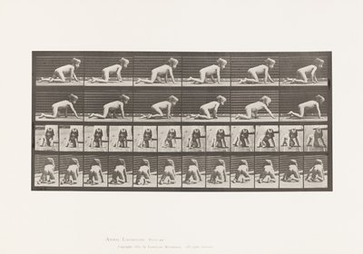 Placa 471. Niño, gateando sobre manos y rodillas, 1885 de Eadweard Muybridge