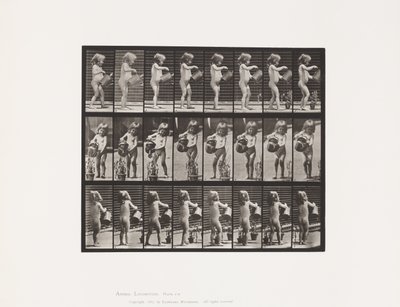 Placa 478. Niño, rociando agua sobre algunas flores, 1885 de Eadweard Muybridge