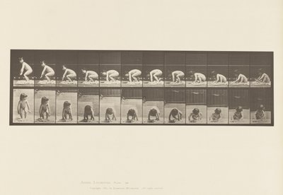Placa 479. Niño, Levantándose del Suelo de Eadweard Muybridge