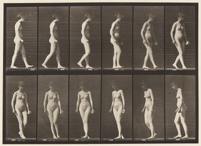 Placa 47. Caminando y Girando de Eadweard Muybridge
