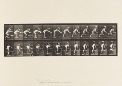 Placa 480. Niño, caminando y gateando escaleras arriba de Eadweard Muybridge