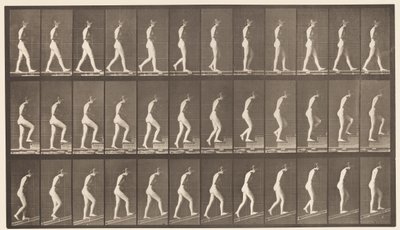 Placa 482. A, caminando; B, subiendo escaleras; C, subiendo inclinación, 1872-1885 de Eadweard Muybridge