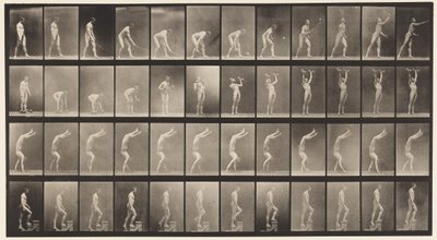 Placa 488. A, Tenis en césped; B, Pesas; C, Caminando sobre las manos de Eadweard Muybridge