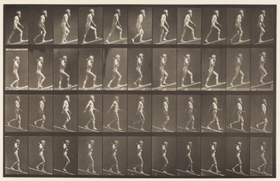 Placa 489. A, Ascendiendo Inclinación, 1872-1885 de Eadweard Muybridge