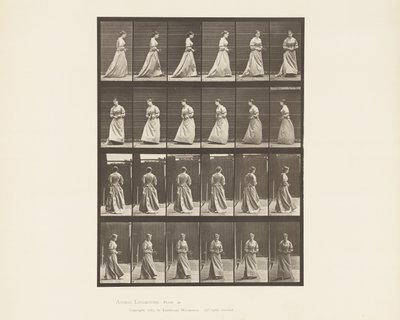 Placa 48. Caminando y girando con ramo en ambas manos, 1885 de Eadweard Muybridge