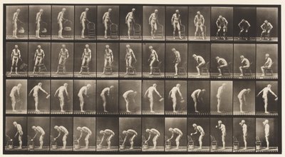 Placa 490. A, Sentándose; B, Sentándose; C, Rociando Agua de Eadweard Muybridge