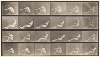 Placa 492. A de Eadweard Muybridge