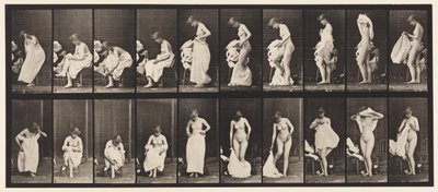 Placa 498. Fases Misceláneas del Aseo, 1872-1885 de Eadweard Muybridge