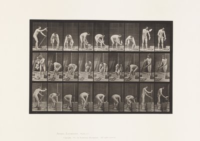 Placa 505. Albañilería de Eadweard Muybridge